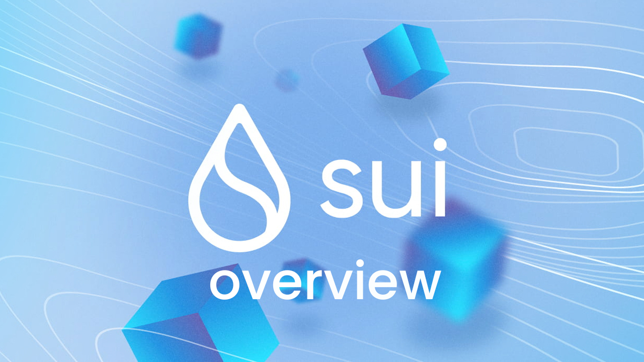 Sui Blockchain: A New Standard for Speed, Scalability, and Flexibility in the Crypto World