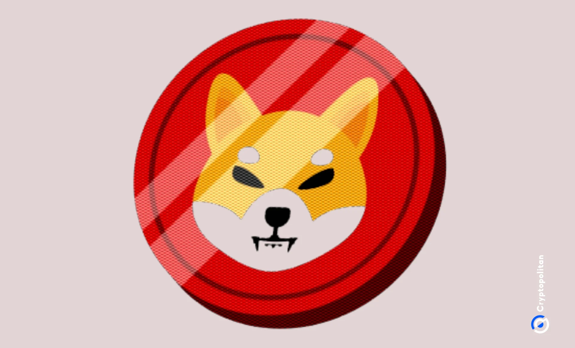 Shiba Inu Unveils WHY Combinator and the 36 “Chambers” of Tech to Bolster Its Ecosystem