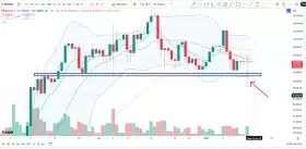 Cheds Trading