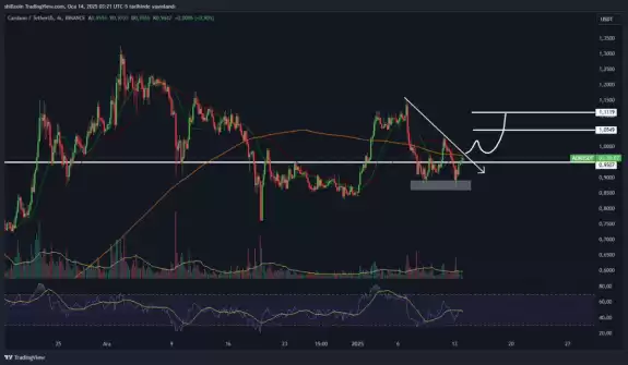 Shillcoin💲🦁