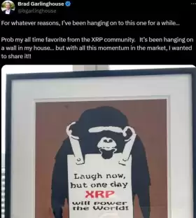 XRP-D13G0 FUDS🫵🤡