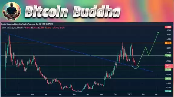Bitcoin Buddha