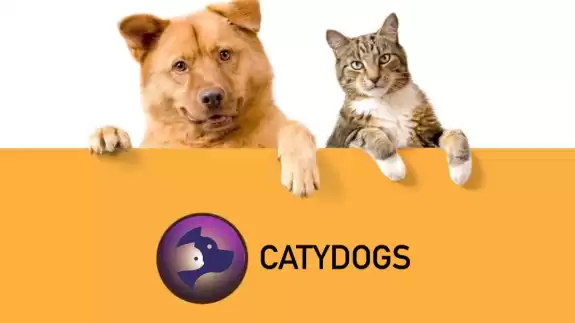 CatyDogs