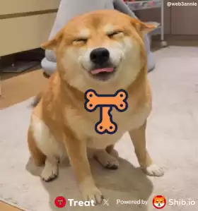 Annie 所长