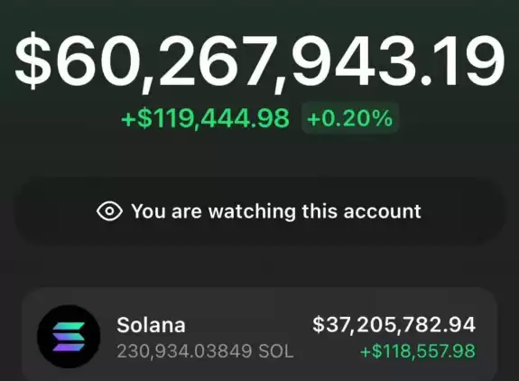 Bitcoin whale