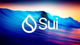 FAVOURITE.SUI💫🐟