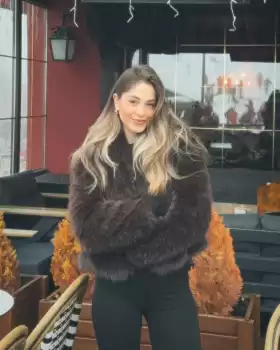 Bitbull