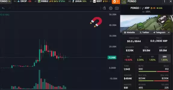 Mr. BIG WHALE