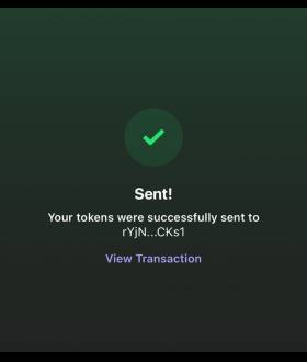 Solana Meme Coins Pumps