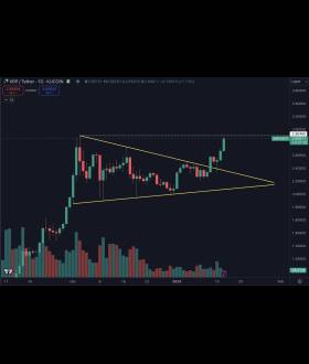 Daan Crypto Trades