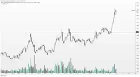 Altcoin Sherpa