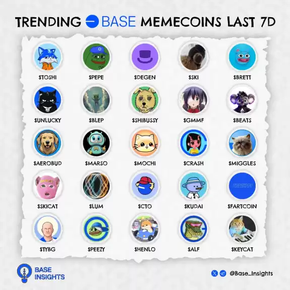 Base Insights