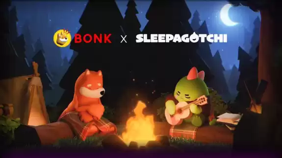 BONK!!!