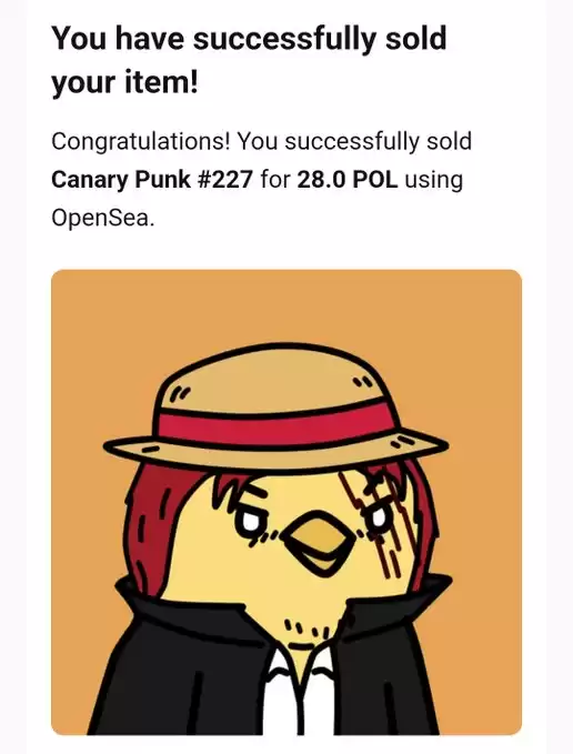 CANARY PUNK