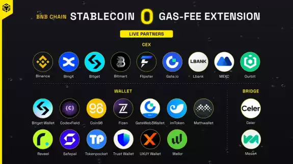 BNB Chain