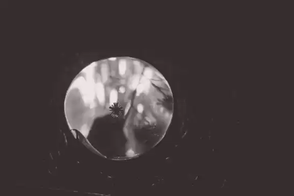 _growth revolution |