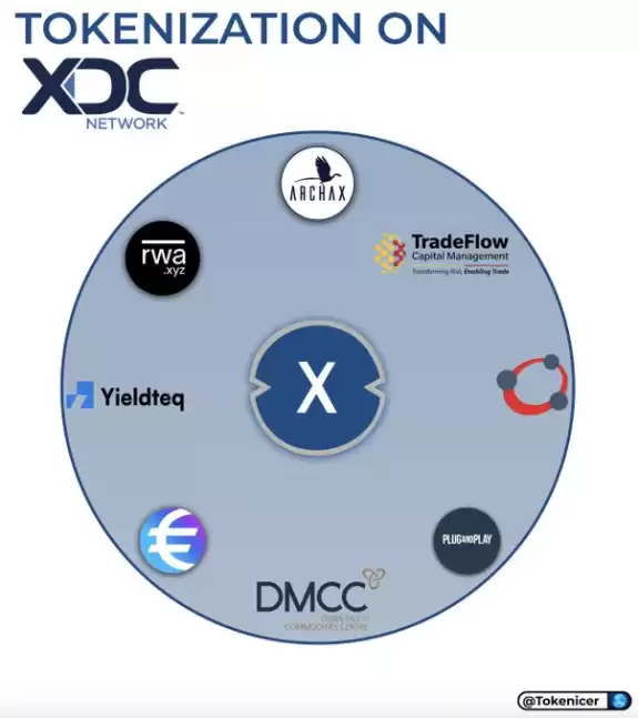 🥖Tokenicer✲⥃⬢