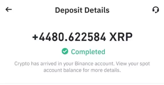 ⚔️XRP Avengers⚔️