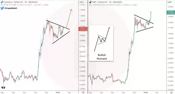 CryptoBullet