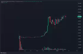 The DeFi Dojo