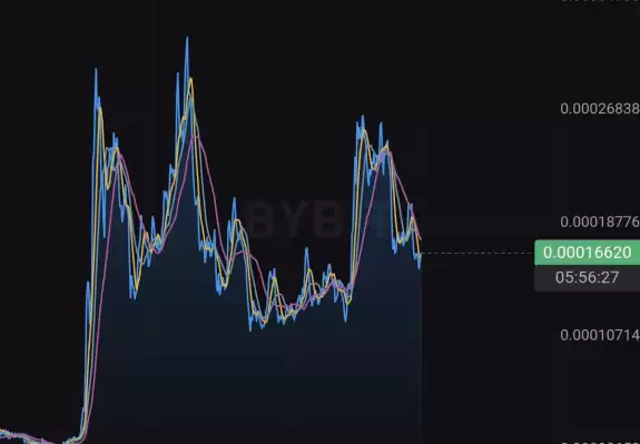 BITCOINLFG®