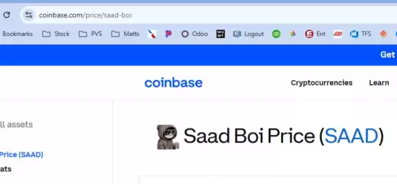 $SAAD Boi