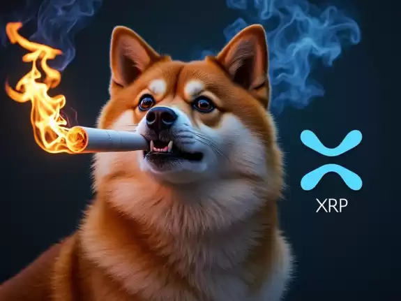 Nipple Doge