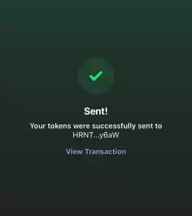 Solana Meme Coins Pumps