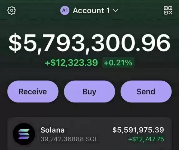 WHALE SOLANA