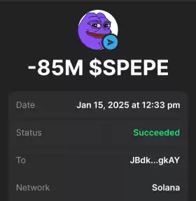 Mr. Crypto Whale🐋