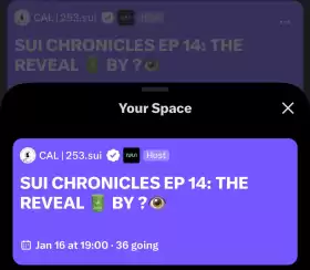 CAL | 253.sui