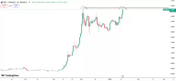 Bitbull