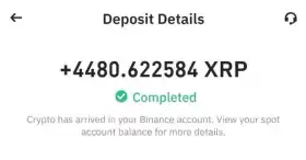 ⚔️XRP Avengers⚔️