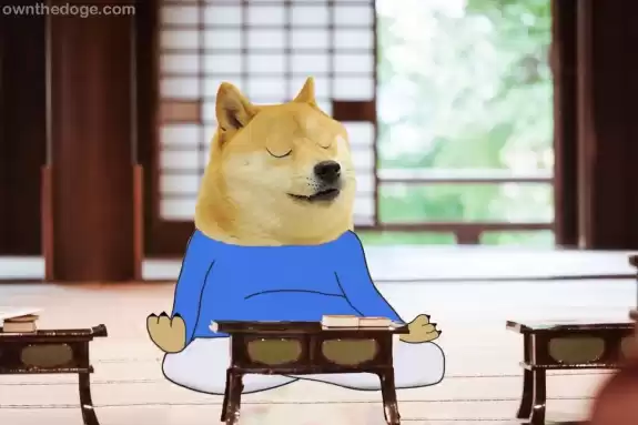 CEO