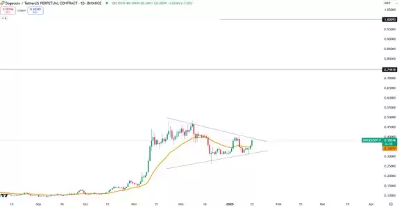 Bitbull