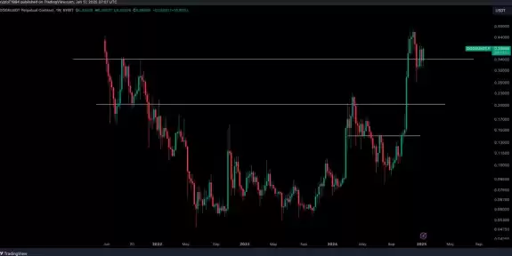 Crypto Tony