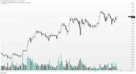 Altcoin Sherpa