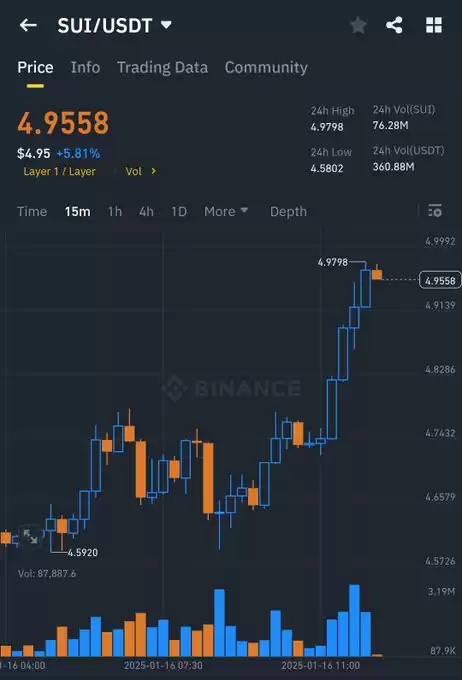 wallstreetbets