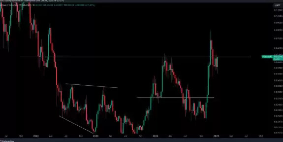 Crypto Tony