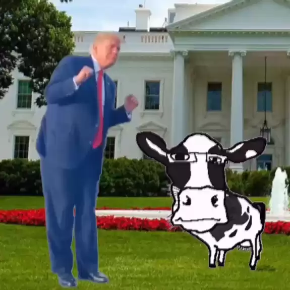 MTK🐮