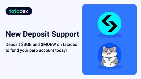 Bitget Wallet🩵