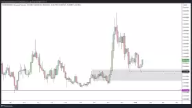 TraderKoz