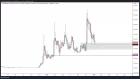 TraderKoz