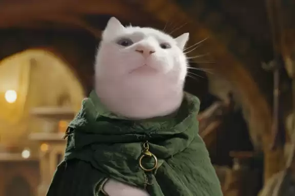 Vibe Cat