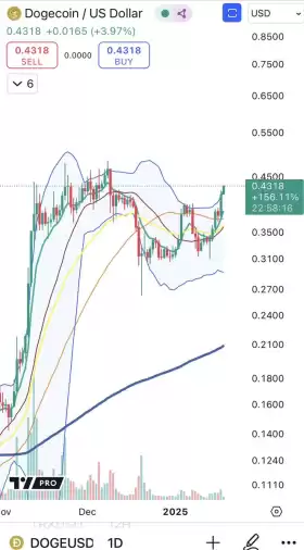 Cheds Trading