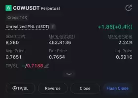 CryptoOwl