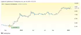 CryptoDoc (Gem Hunter💎