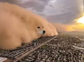 BITCOINLFG®