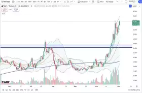 Cheds Trading