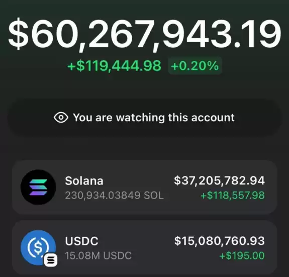 Mr. Crypto Whale🐋